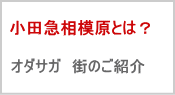 急相模原とは| オダサガの街のご紹介